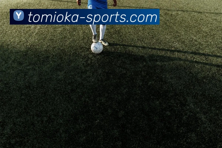 体育下注服务体系